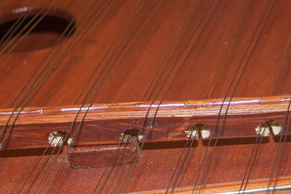 Dulcimer 3