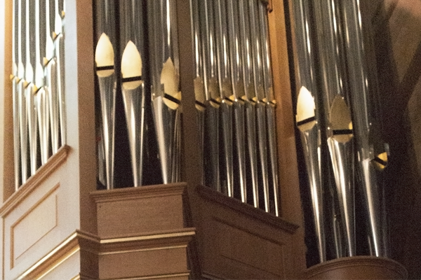 Organ 1
