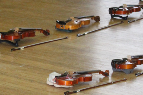 Suzuki Violins